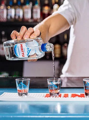 Minttu - en legendarisk partyshot